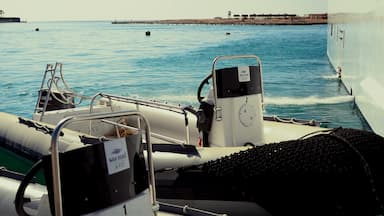 boat-image